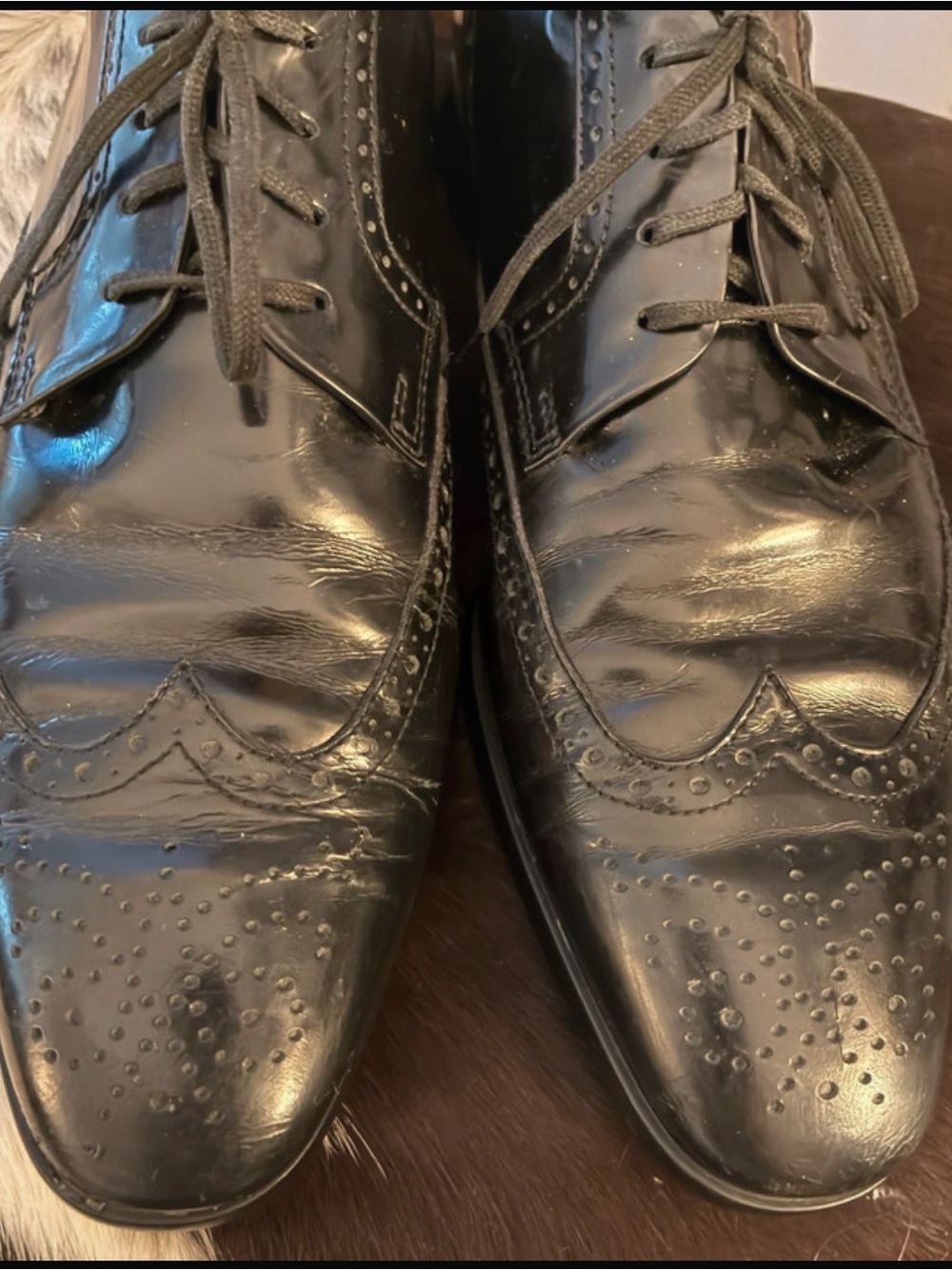 Tod's Men’s Black Wingtip Dress Shoes